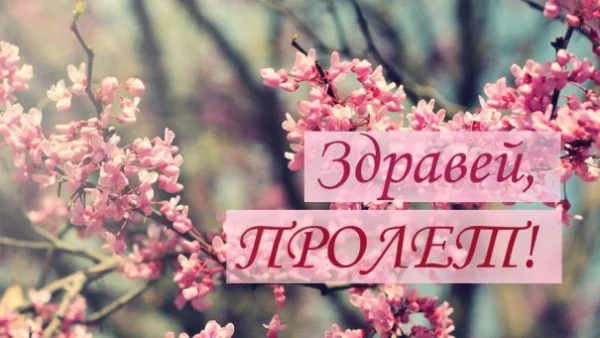 Пролетни цитати за слънчево настроение