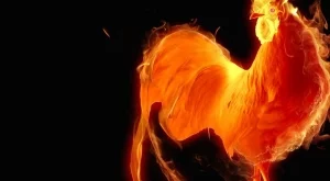 10 неща, които трябва да знаем за годината на Огнения петел