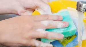 10 специфични приложения на гъбата за чинии, за които малцина знаят 