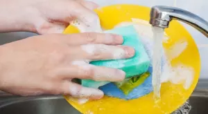 Ето кога кухненската гъба става ОТРОВНА