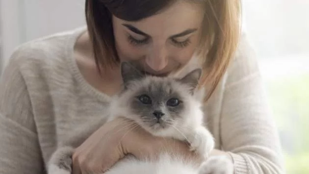 Чудни цитати за котките 