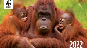 Станете благодетел и получете подарък от WWF