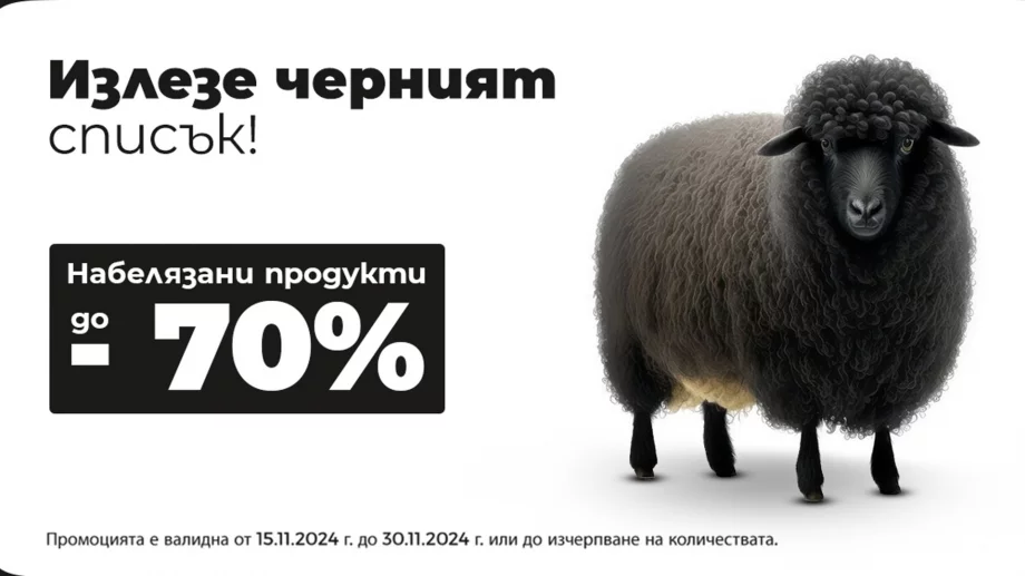 Матраци TED със златен медал за качество. И златни отстъпки за черния петък 