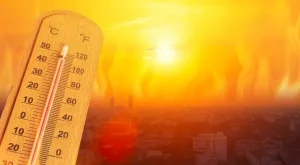 Притеснително: 2024 е най-горещата година, откакто се води статистика