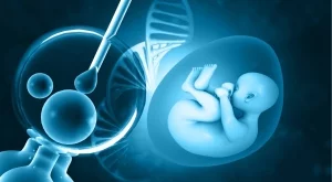 10 важни неща, които трябва да знете преди и след ембриотрансфер