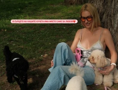 Родни звезди подкрепят кампания срещу смъртоносна за кучетата болест