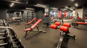 Обратно във форма: Новият сезон започва в La Palestra